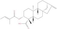 ent-3β-Tigloyloxykaur-16-en-19-oic acid