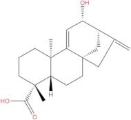 12α-Hydroxygrandiflorenic acid