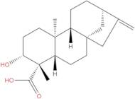 ent-3β-Hydroxykaur-16-en-19-oic acid