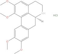 Norglaucine hydrochloride