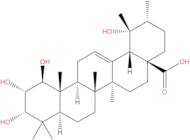 1β-Hydroxyeuscaphic acid