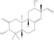 Yucalexin P-17