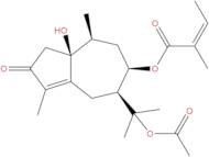 1β-Hydroxytorilin