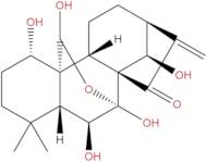 Hebeirubescensin H