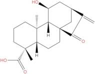 ent-11α-Hydroxy-15-oxokaur-16-en-19-oic acid
