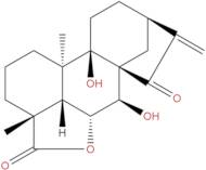 ent-7α,9-Dihydroxy-15-oxokaur-16-en-19,6β-olide