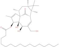 Ingenol 3-palmitate