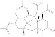 2-Deacetoxydecinnamoyltaxinine J