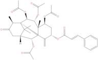 7β-Acetoxytaxuspine C