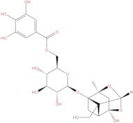 Debenzoylgalloylpaeoniflorin