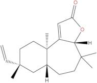 Fischeria A