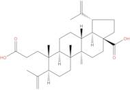 3,4-Secolupa-4(23),20(29)-diene-3,28-dioic acid