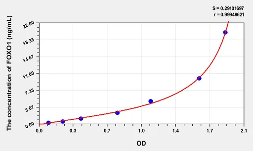 Rat FOXO1(Forkhead Box Protein O1) ELISA Kit