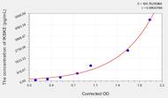 Human IKBKE(Inhibitor of Nuclear Factor κ-B Kinase Subunit ε) ELISA Kit