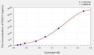 Human PSG11(Pregnancy-Specific β-1-Glycoprotein 11) ELISA Kit