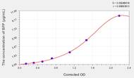 Sheep sIgA(Secretory Immunoglobulin A) ELISA Kit