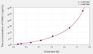 Mouse CHI3L1(Chitinase-3-Like Protein 1) ELISA Kit