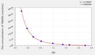 Horse TBARS(Thiobarbituric Acid Reactive Substance) ELISA Kit