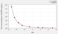 Horse AOPP(Advanced Oxidation Protein Products) ELISA Kit