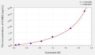 Human ICAM2(Intercellular Adhesion Molecule 2) ELISA Kit