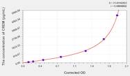 Rat CREM(cAMP Responsive Element Modulator) ELISA Kit