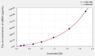 Human γMSH(γ-Melanocyte Stimulating Hormone) ELISA Kit