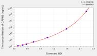 Rat CAPN2(Calpain 2, Large Subunit) ELISA Kit