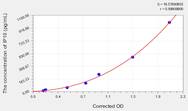 Hamster IP10(Interferon γ Induced Protein 10kDa) ELISA Kit