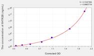 Rat 5HTR2B(5-Hydroxytryptamine Receptor 2B) ELISA Kit