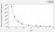 Human NEB(Noradrenaline Bitartas) ELISA Kit