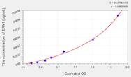 Rat ERN1(Endoplasmic Reticulum To Nucleus Signalling 1) ELISA Kit