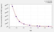 Human AGE(Advanced Glycation End Product) ELISA Kit