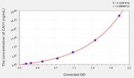 Human CA11(Carbonic Anhydrase 11) ELISA Kit