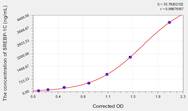 Rat SREBP-1C(Sterol Regulatory Element-Binding Protein 1C) ELISA Kit