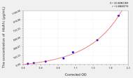 Horse HbA1c(Glycated Hemoglobin A1c) ELISA Kit