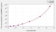 Human gABBR1(γ-Aminobutyric Acid B Receptor 1) ELISA Kit