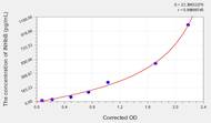 Mouse INHbB(Inhibin β B) ELISA Kit