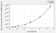 Cattle NT-ProBNP(N-Terminal Pro-Brain Natriuretic Peptide) ELISA Kit