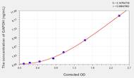 Rat GAPDH(Glyceraldehyde-3-Phosphate Dehydrogenase) ELISA Kit