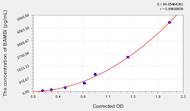 Mouse BAMBI(BMP and Activin Membrane Bound Inhibitor Homolog) ELISA Kit