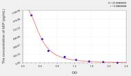 Sheep bEP(β-Endorphin) ELISA Kit