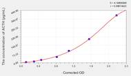 Sheep ACTH(Adrenocorticotropic Hormone) ELISA Kit