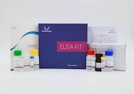 Mouse CyPD(Cyclophilin D) ELISA Kit