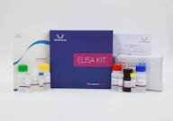Human PTGFR(Prostaglandin F2-α receptor) ELISA Kit
