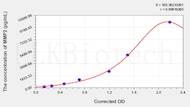 Cattle MMP2(Matrix Metalloproteinase 2) ELISA Kit