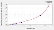 Human CASPR1(Contactin-associated protein 1) ELISA Kit