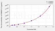 Human DNASE1L3(Deoxyribonuclease I Like Protein 3) ELISA Kit