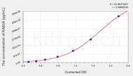 Rat RAB3A(Ras-Related Protein Rab-3A) ELISA Kit