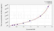 Rat sKLa(Soluble Klotho α) ELISA Kit