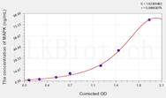 Rat MAPK(P38 Mitogen Activated Protein Kinase) ELISA Kit